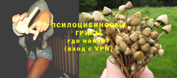 прущая мука Козловка