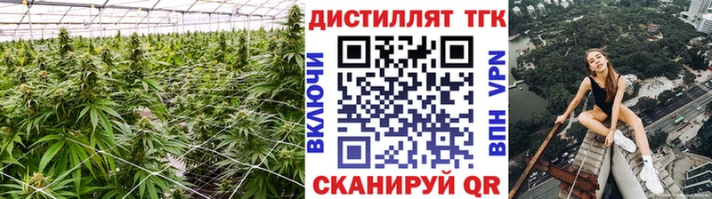 Дистиллят ТГК концентрат  Купить где  Бокситогорск 