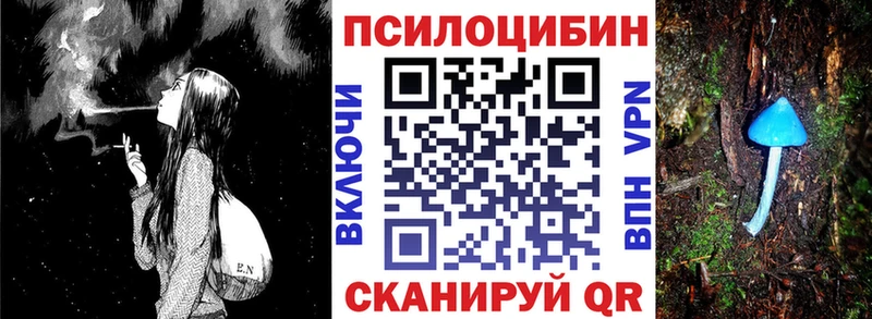 Псилоцибиновые грибы Psilocybe  Купить где  Бокситогорск 